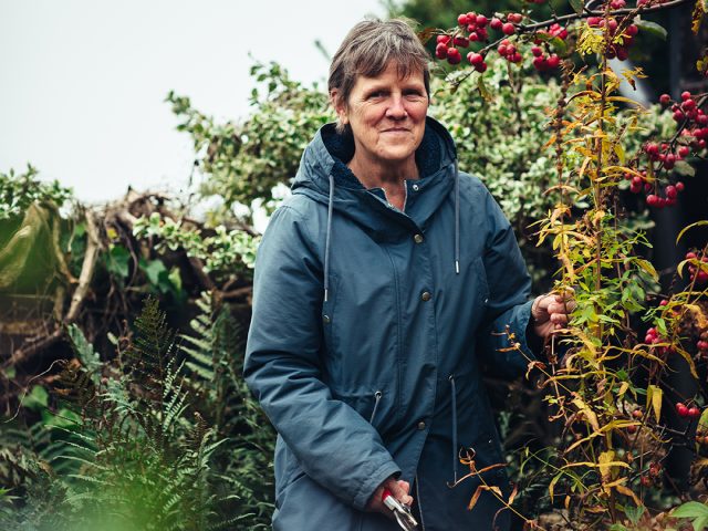 Een natuurlijke tuin vol leven