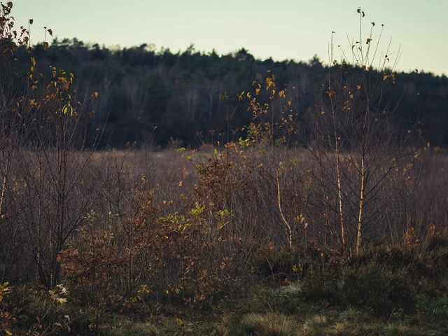 De zomer loopt op z’n eind. Het licht verandert