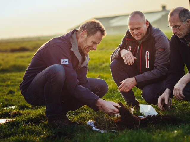 Overal om ons heen leeft het