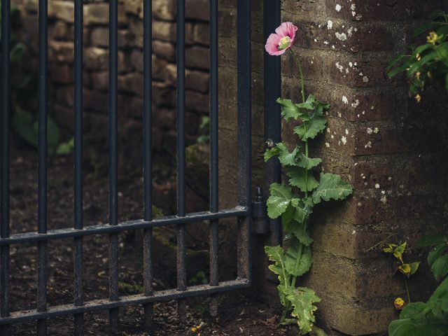 Het onverwachte cadeau