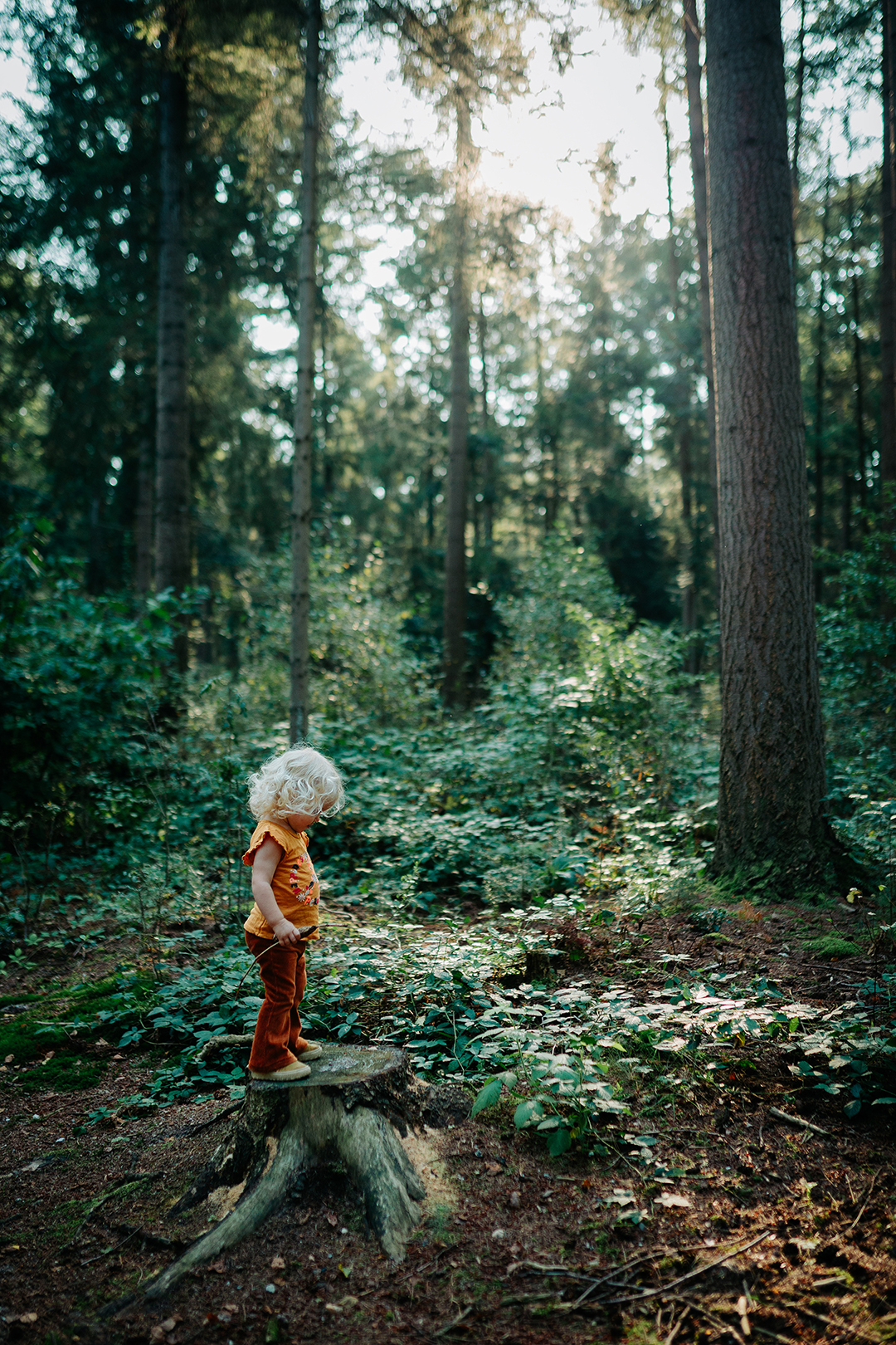 Wat je zegt als je nog niet weet wat woorden kunnen doen
