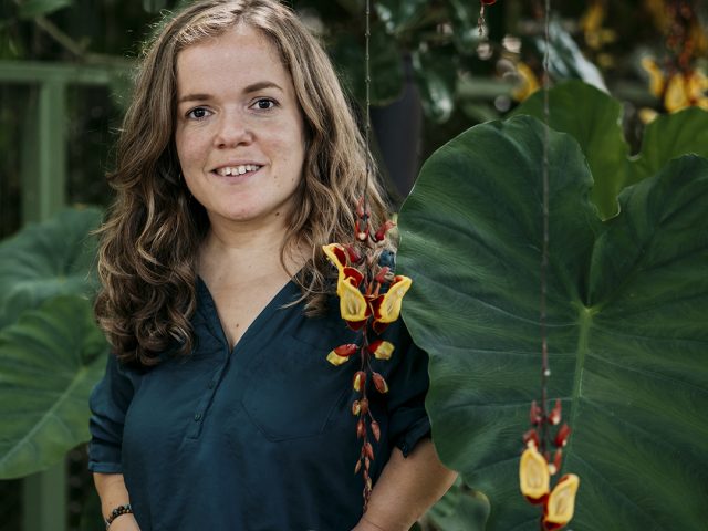 Beelden waren lange tijd mijn vaste woordenboek