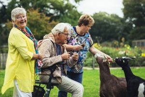 Twee vrijwilligers van zorgboerderij De Willemshoeve begeleiden een oudere man tijdens een bezoek aan de dierenweide. Ze lachen samen terwijl ze geiten voeren. De sfeer is ontspannen en vol plezier, met veel aandacht voor de man.
