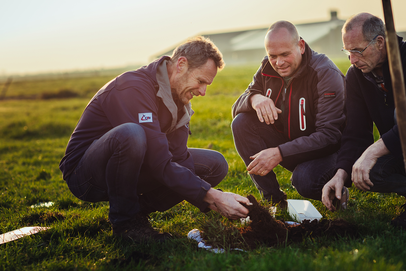 Drie boeren hurken in een groen weiland en bekijken aandachtig een handvol donkere, kruimelige aarde. Een moment van bodemonderzoek, samenwerking en verwondering over gezond bodemleven in de landbouw.
