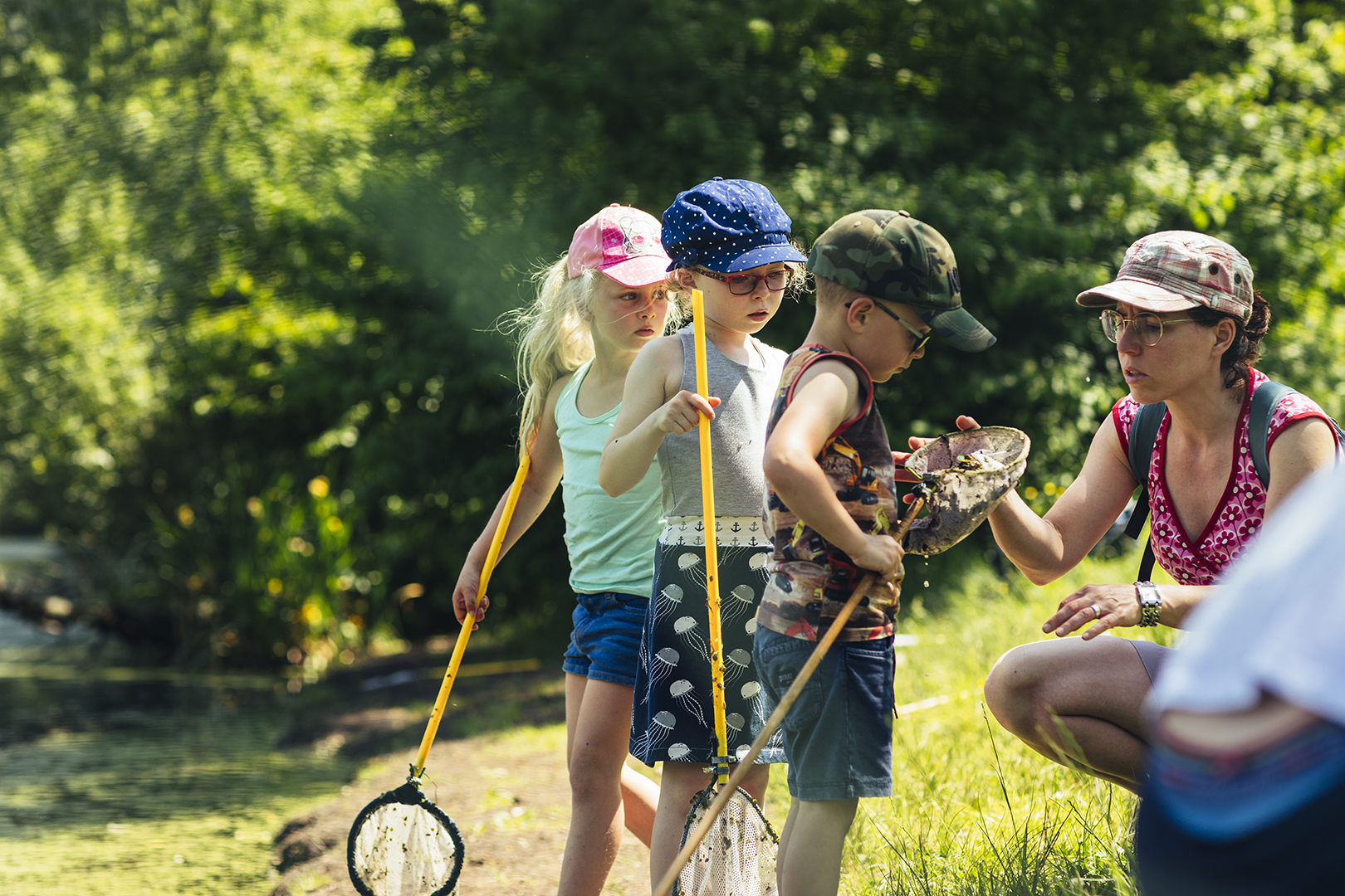 Een groep kinderen met schepnetjes staat rond een moeder aan de slootkant en bekijkt aandachtig de vangst. Samen leren en buiten spelen in de natuur.