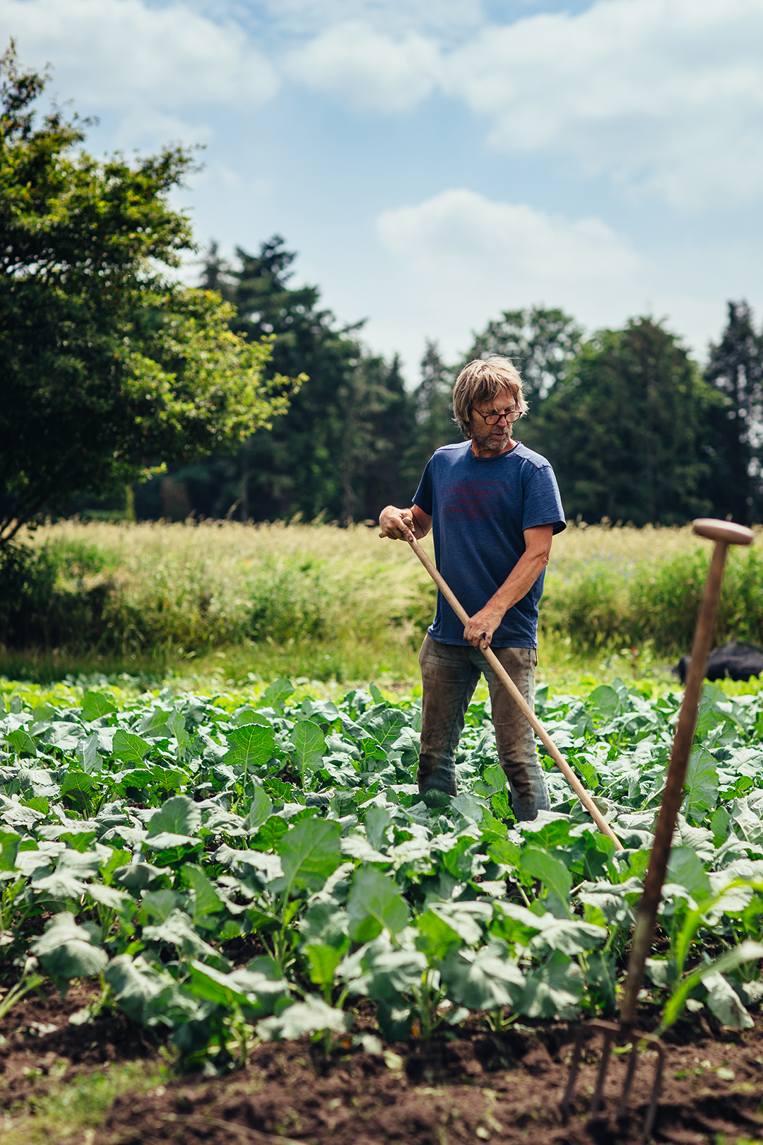 Een tuinder Klaas staat met een lange schoffel tussen rijen groene groenten op het land. Hij kijkt naar beneden terwijl hij de grond tussen de planten bewerkt. Achter hem ligt een open veld met hoog gras en bomen onder een blauwe lucht. De foto is gemaakt bij tuinderij Nieuwe Ronde in Wageningen.