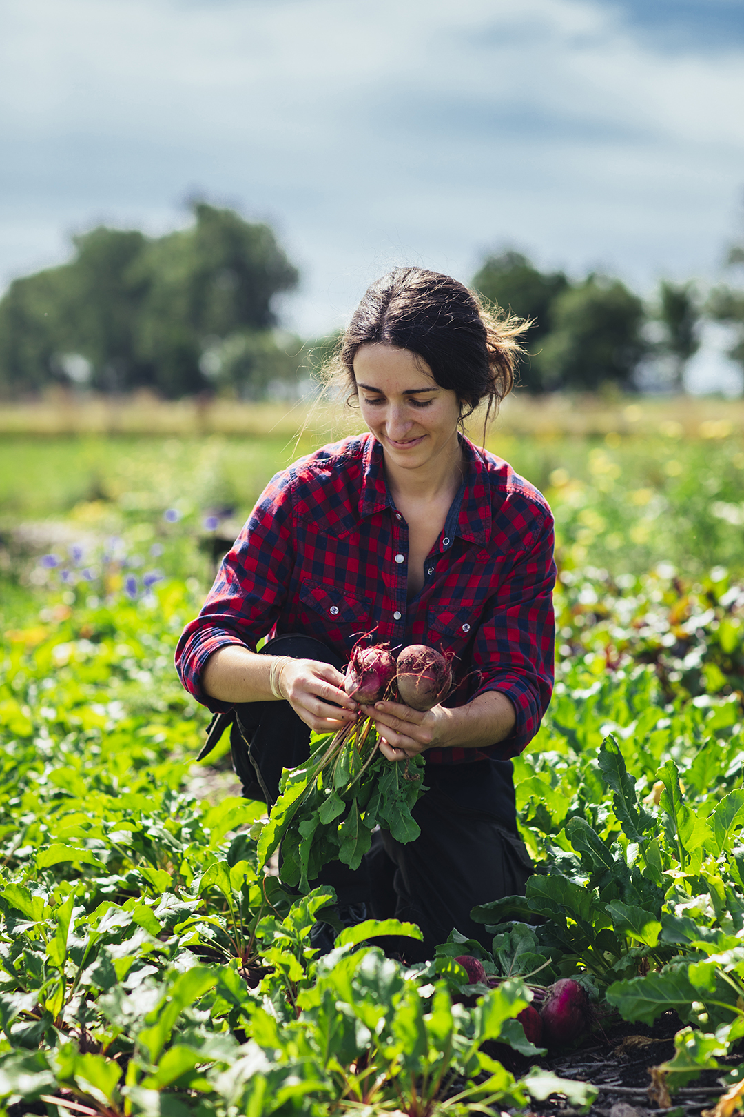 Tuinder Pauline van tuinderij Lichtveen in Bennekom zit tussen de groentebedden en oogst rode bieten. Om haar heen groeien verschillende groene gewassen en op de achtergrond strekt het akkerland zich uit.
