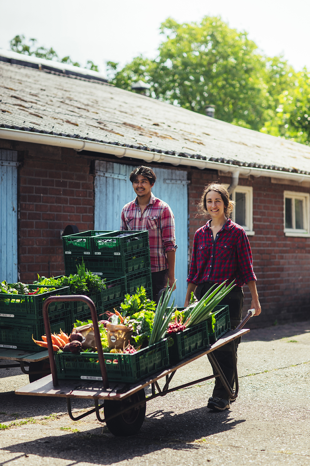 Tuinders Chris en Pauline van tuinderij Lichtveen in Bennekom duwen samen een kar vol vers geoogste groenten. Ze staan voor een oude boerderijschuur, met groene kratten en kleurrijke groenten zichtbaar op de kar.