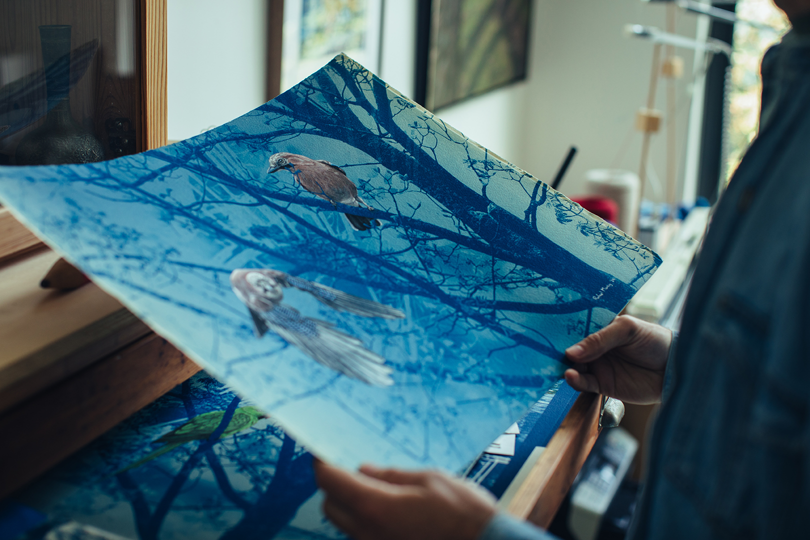 Twee handen houden een groot blauwdrukwerk omhoog waarop donkere boomtakken zich aftekenen tegen verschillende tinten blauw. Daarvoor in kleur een zittende en een vliegende Vlaamse gaai. Het licht en de fijne vertakkingen geven de afdruk een bijna dromerige uitstraling.